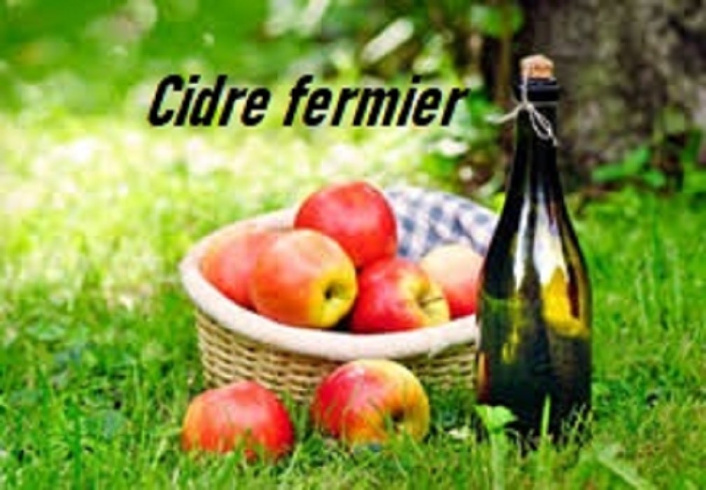 Camping Le Creulet