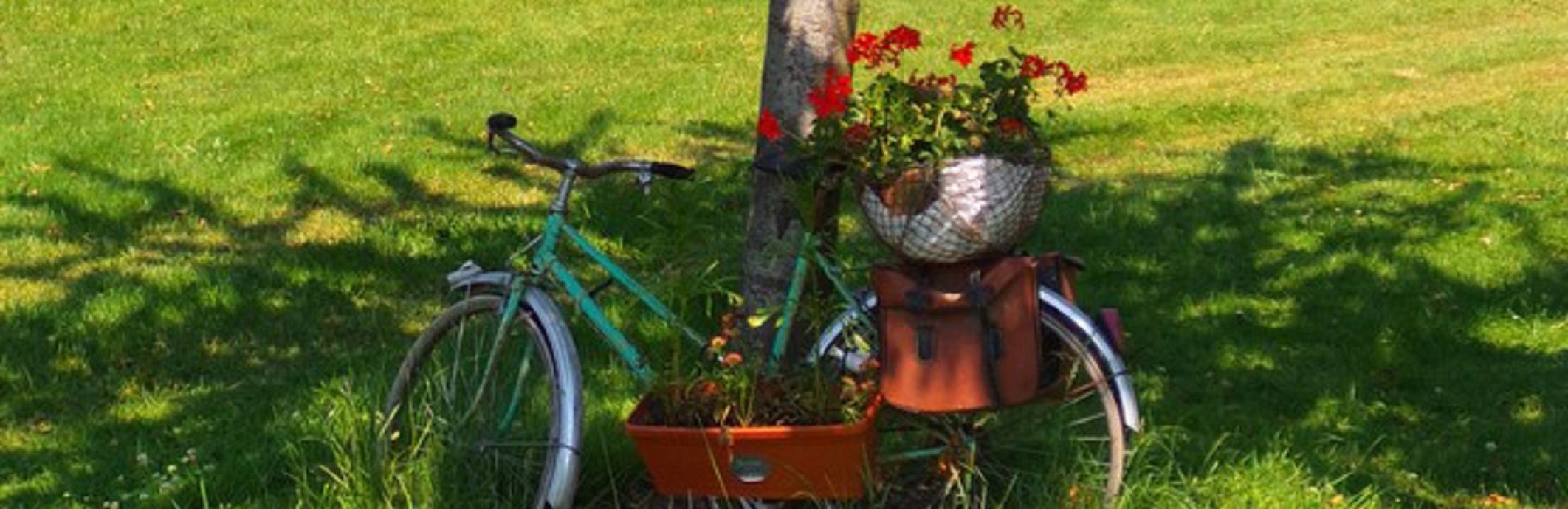 Camping Le Creulet