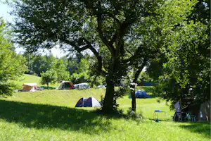 Zeltplatz auf einer grünen Wiese mit mehreren Zelten, großen Bäumen und Sitzbereich am Rand.
