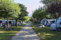 Camping Le Curtelet - Stell- und Zeltplätze vom Campingplatz im Grünen zwischen Bäumen 