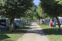 Camping Le Curtelet - Wohnwagen- und Zeltstellplatz vom Campingplatz unter Bäumen