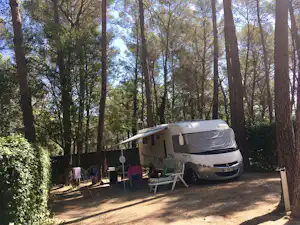 Wohnmobil auf einem Stellplatz im Wald mit Tisch und Stühlen, umgeben von hohen Bäumen.