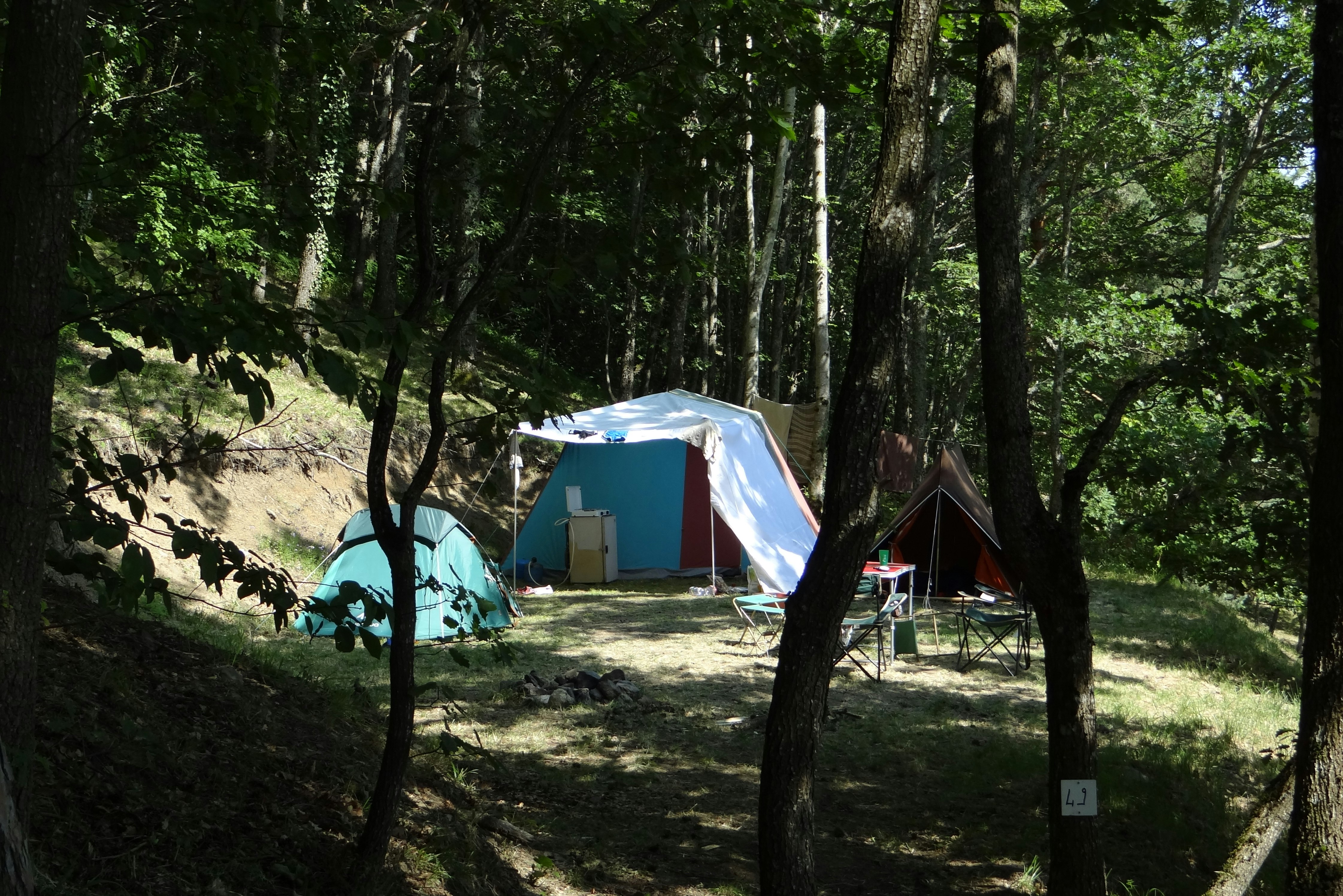 Camping Le Domaine Du Marais - Standplatz im Grünen auf dem Campingplatz