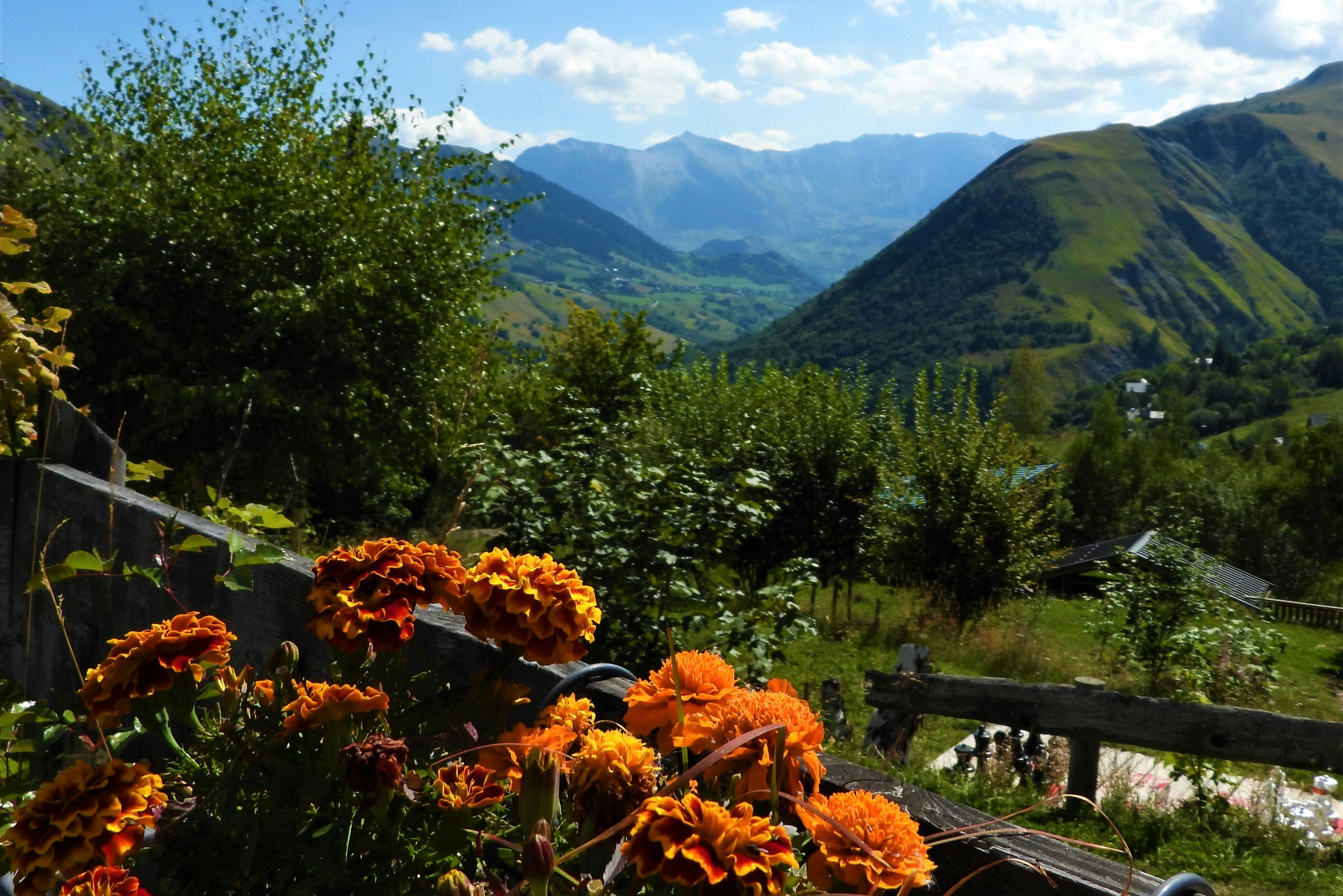 Camping Le Domaine du Trappeur - Aussicht vom Campingplatz aus in die Natur