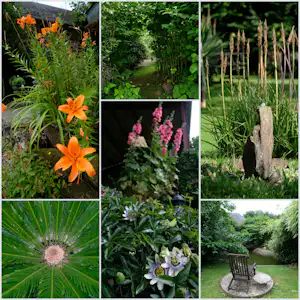 Orange Lilien und pinke Blüten im Gartenbeet, umgeben von Grünpflanzen und einem Weg am Campingplatz.