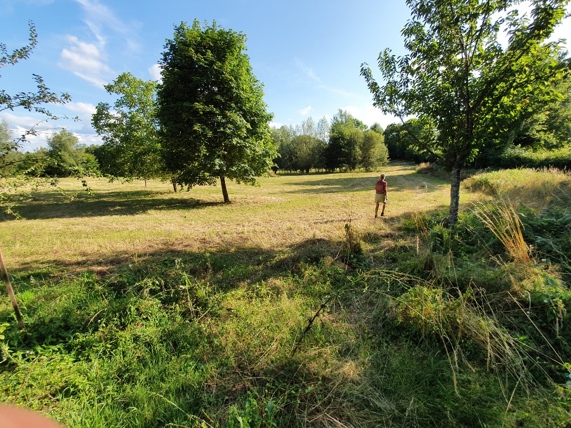 Weite Campingwiese mit Bäumen und Gras, ein schmaler Weg führt durch die Natur, im Hintergrund weitere Grünflächen.