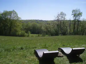 Camping-Wiese mit zwei Picknickbänken aus Holz und Blick auf Bäume und sanfte Hügel im Hintergrund.