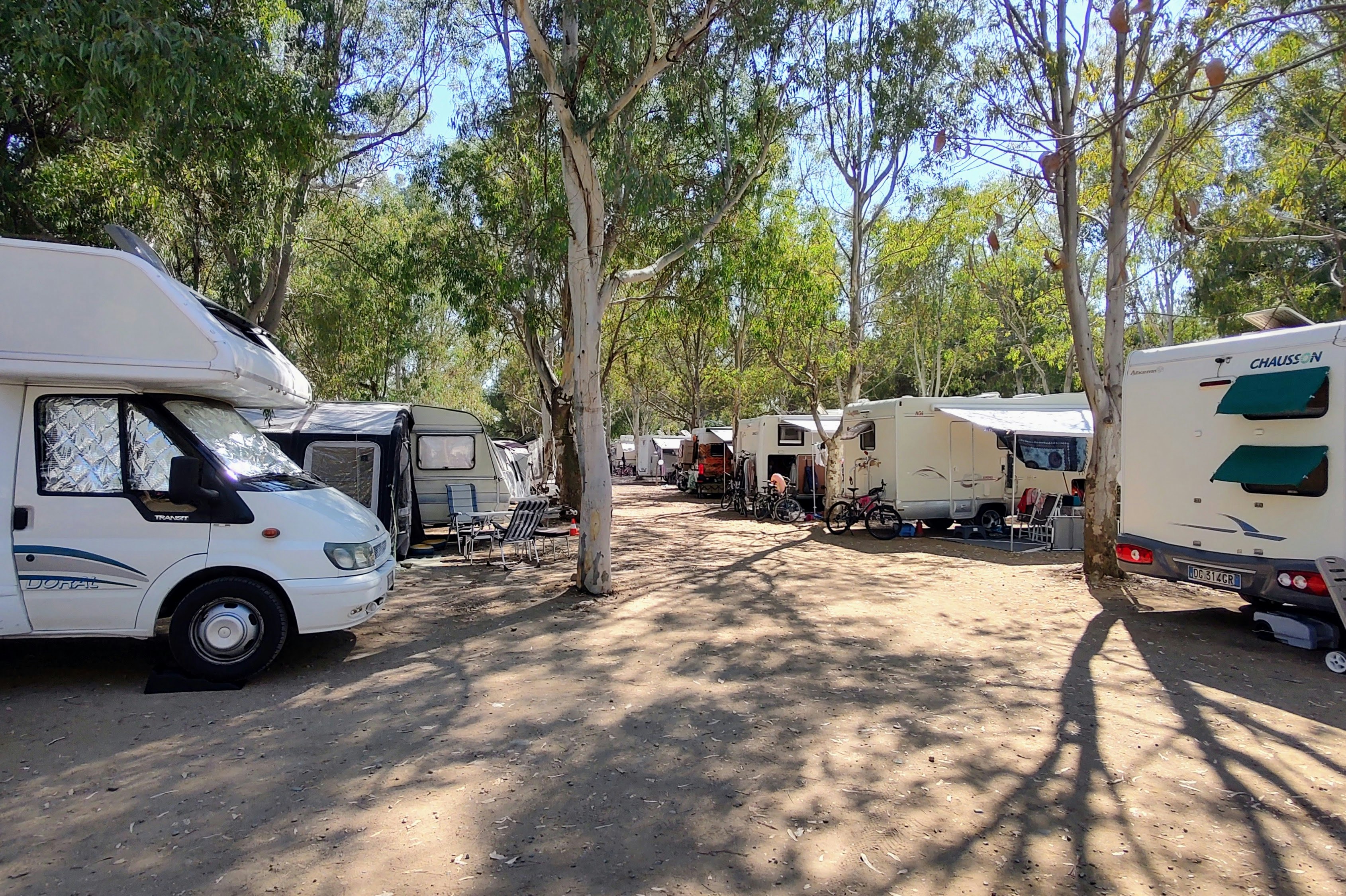 Camping le due Barche - Standplätze zwischen den Bäumen auf dem Campingplatz