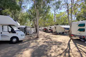 Camping le due Barche - Standplätze zwischen den Bäumen auf dem Campingplatz