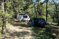 Camping Au Bois Dormant - Wohnwagen- und Zeltstellplatz unter Bäumen auf dem Campingplatz
