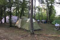 Camping Au Bois Dormant - Zeltstellplätze unter Bäumen auf dem Campingplatz