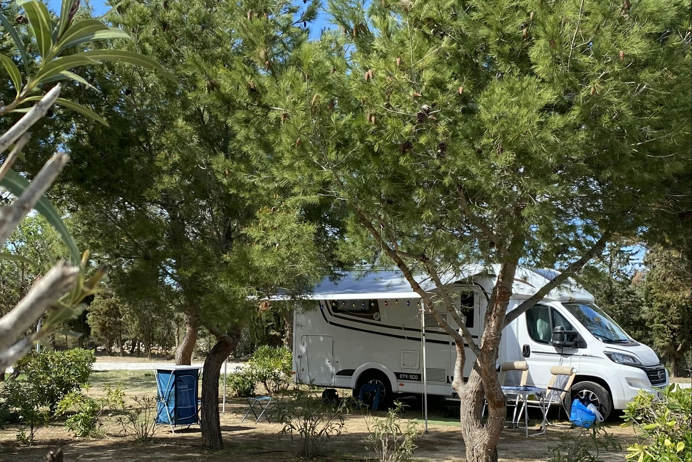 Camping Le Fun - Blick auf einen Standplatz im Schatten der Bäume