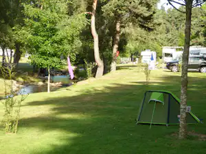 Grünes Campingzelt auf einer Rasenfläche zwischen Bäumen, im Hintergrund weitere Fahrzeuge und Stellplätze.