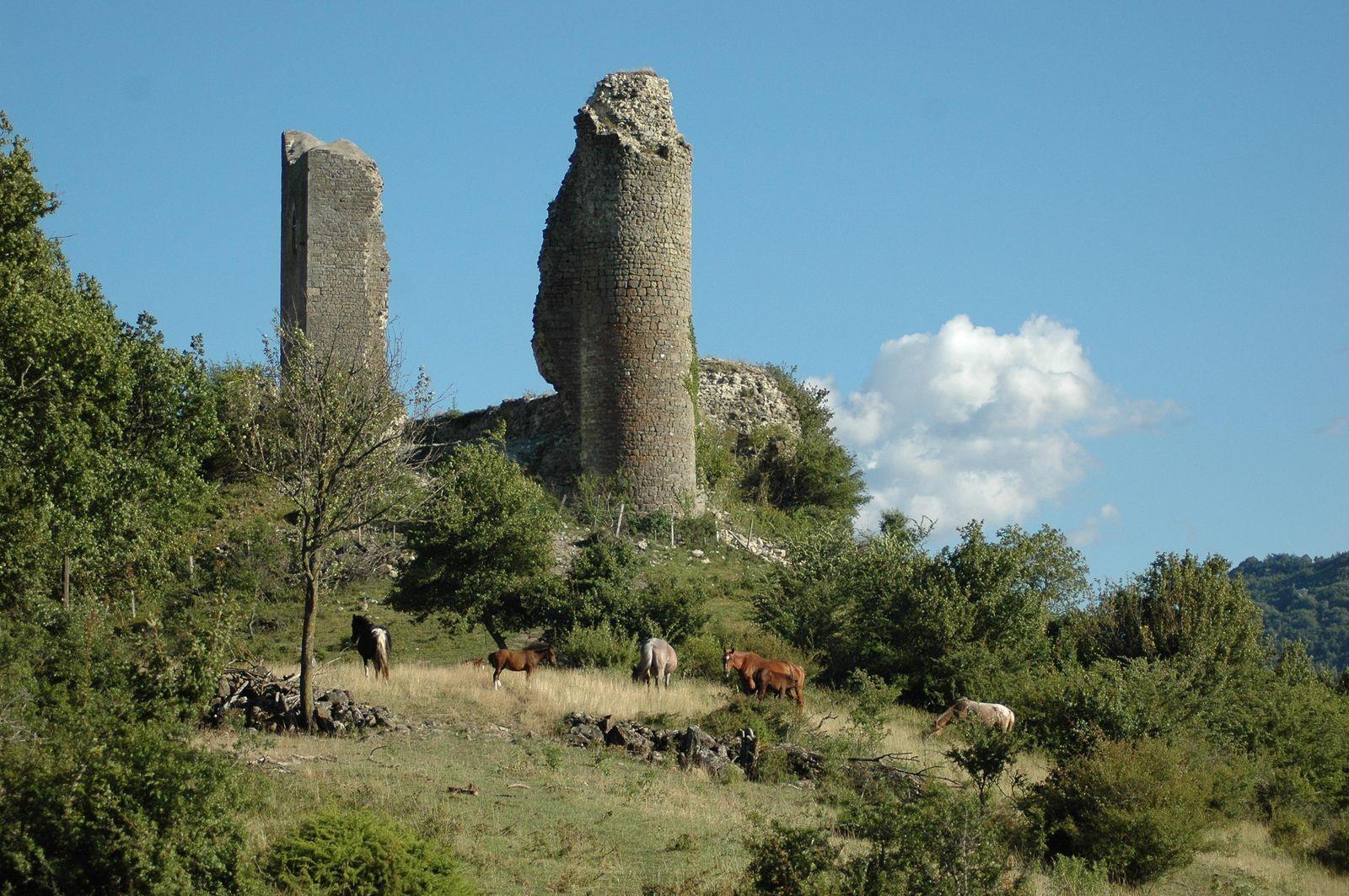 Camping Le Gap des Tortelles