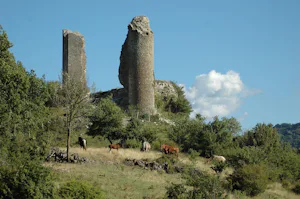 Camping Le Gap des Tortelles