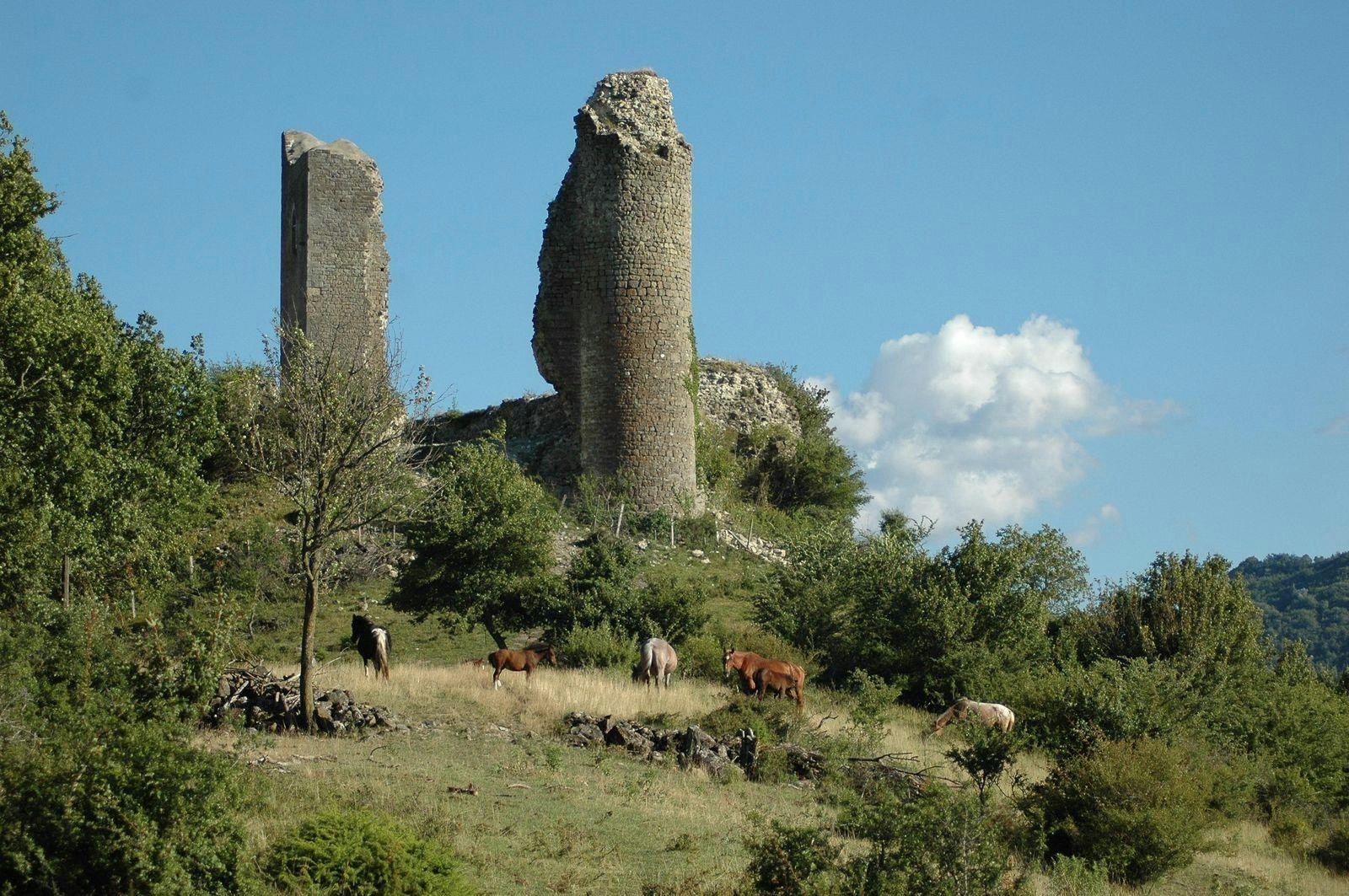 Camping Le Gap des Tortelles