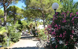 Camping le Garden - Wohnmobilstellplätze im Schatten der Bäume auf dem Campingplatz