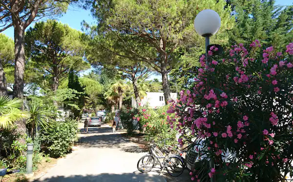 Camping le Garden
