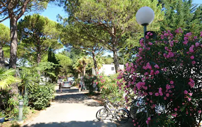 Camping le Garden