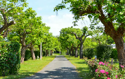 Camping le Garrit