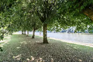 Uferweg am See mit Bäumen im Schatten, Grasfläche und Kiesstreifen entlang des Wassers.