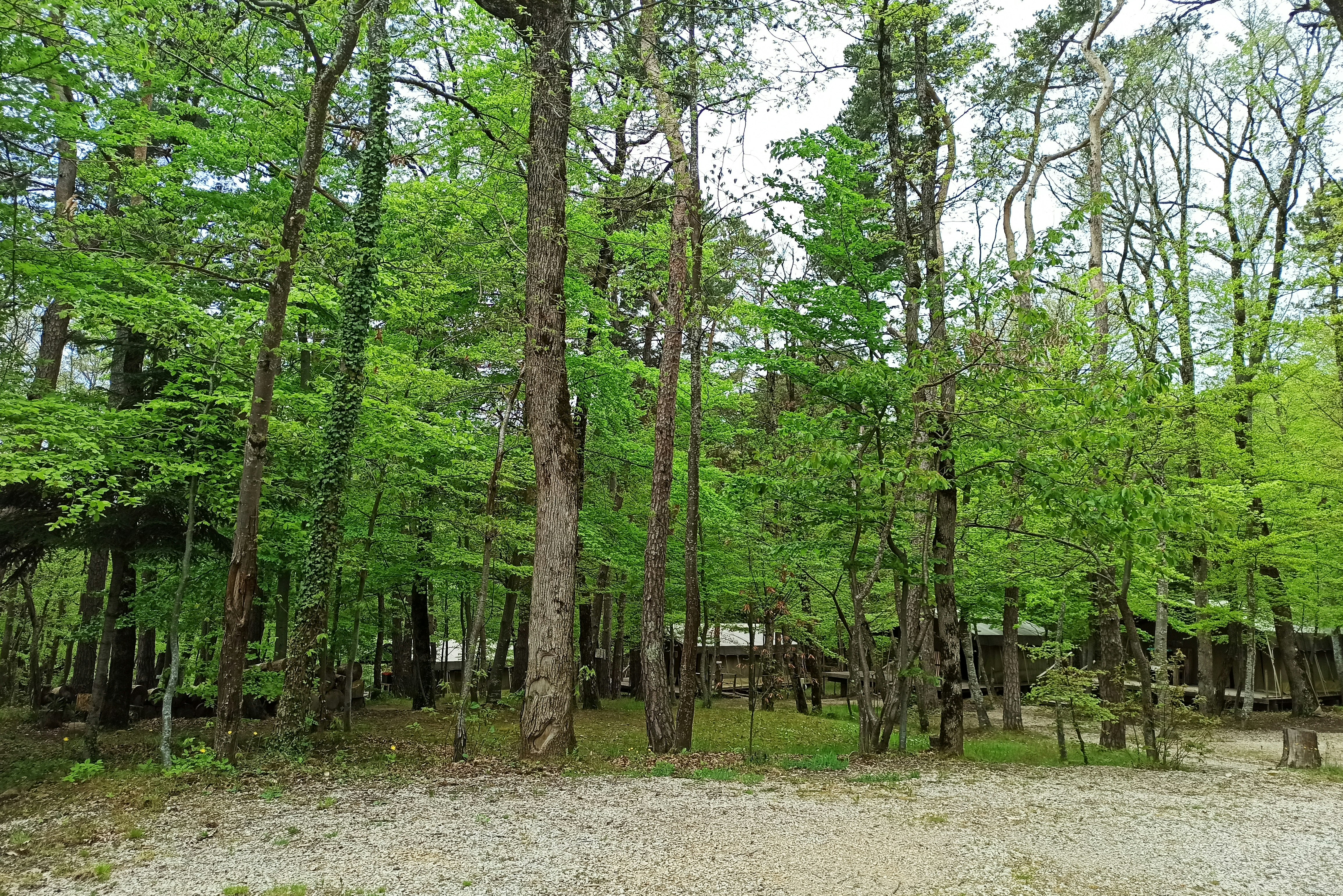 L'ermitage du Grand Bois  Camping Le Grand Bois - Standplätze auf dem Campingplatz