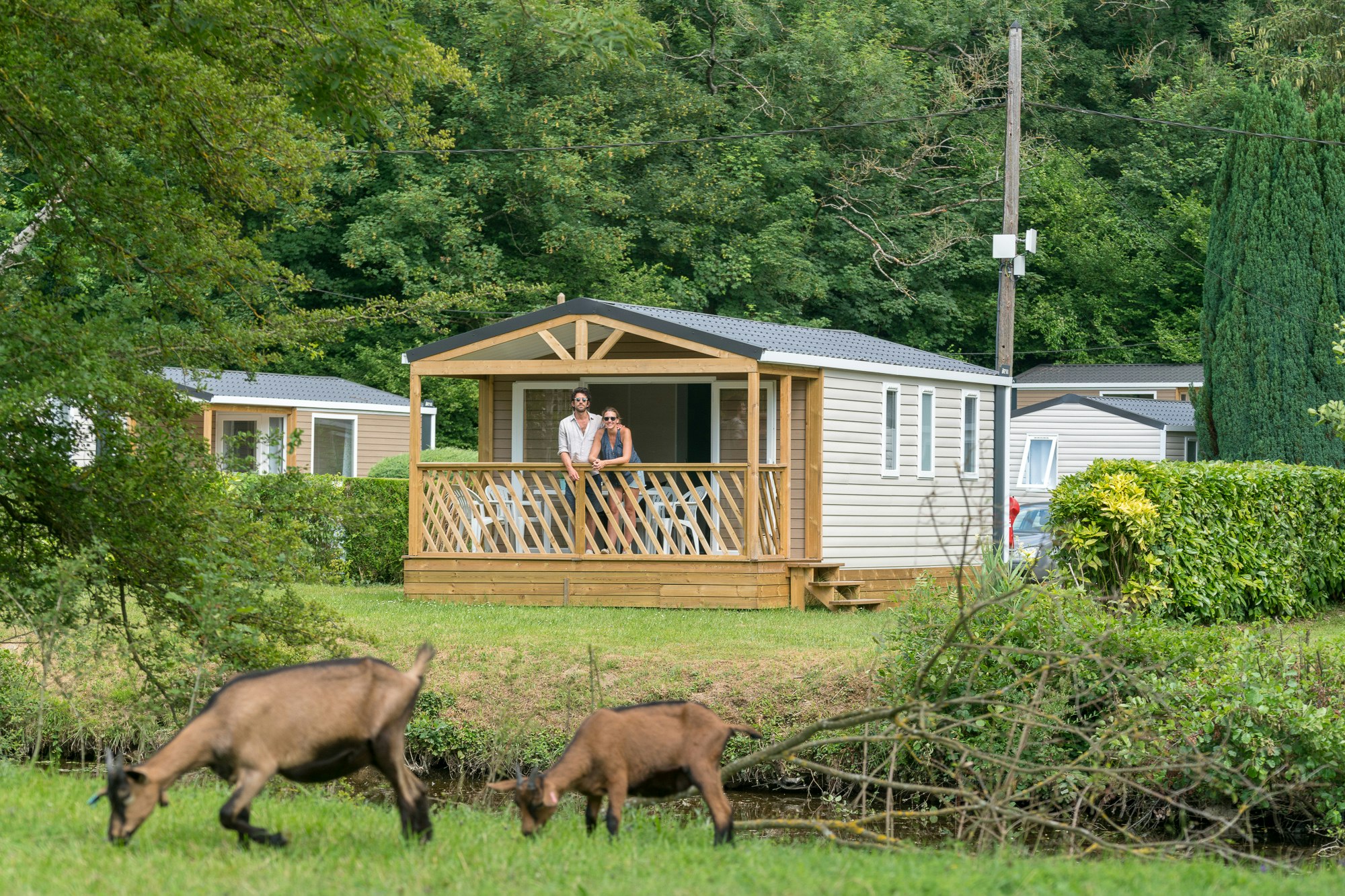 Camping Le Grand Paris - Mobilheim vom Campingplatz im Grünen mit Blick auf Ziegen im Vexin Français Natural Regional Park