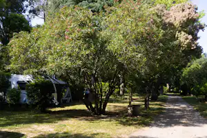 Camping Le Haras - Stellplätze im Grünen
