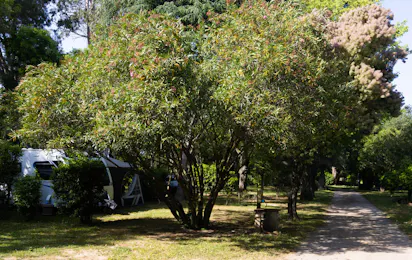 Camping Le Haras