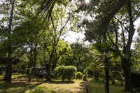 Camping Le Haras - Stellplätze im Schatten der Bäume