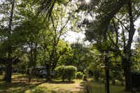 Camping Le Haras - Stellplätze im Schatten der Bäume