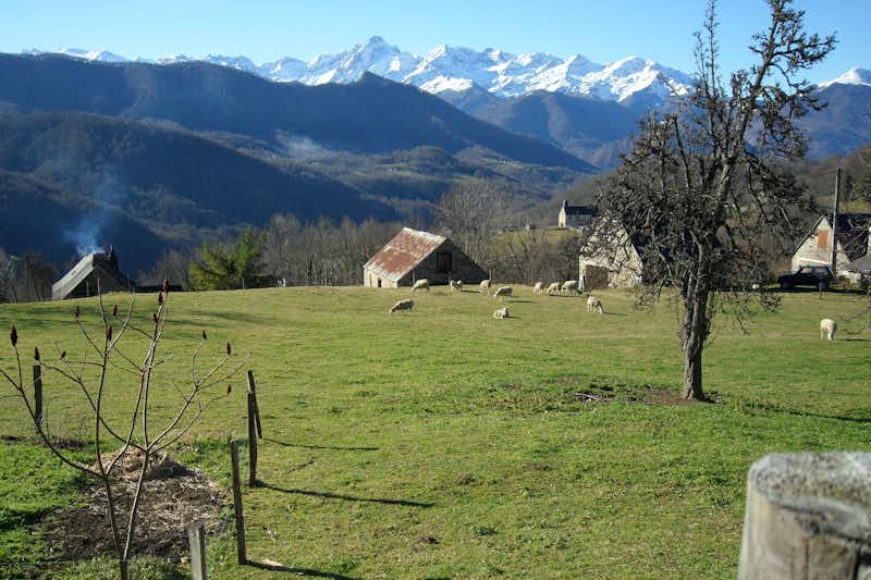 Camping Le Haut Salat - Grünes Gelände vom Campingplatz mit Blick auf die Pyrenäen