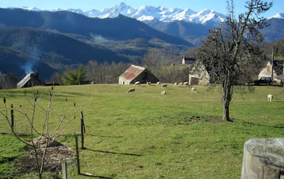 Camping Le Haut Salat