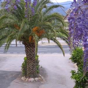 Camping Le Lagon D'Argeles