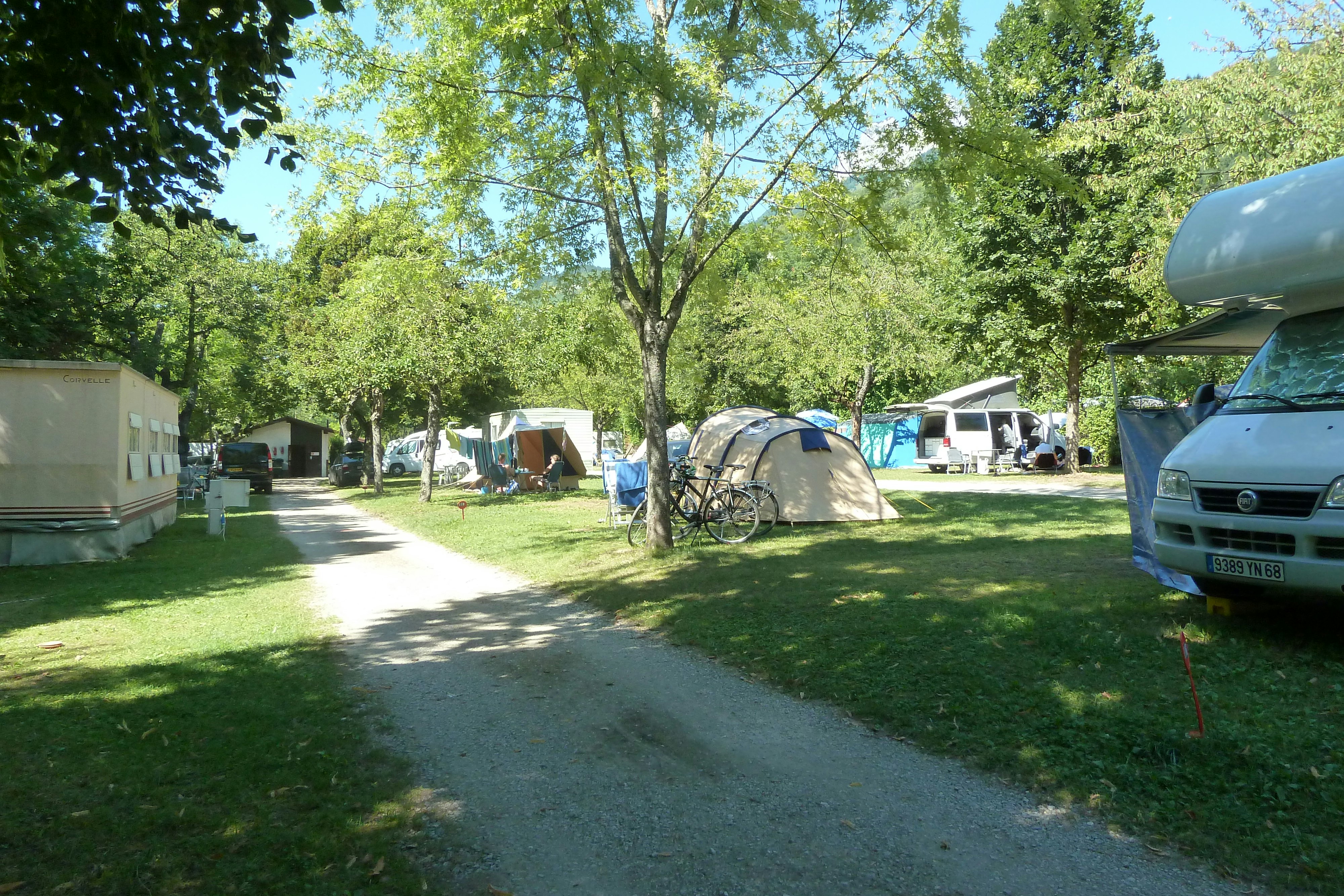 Campingplatz mit Zelt, Fahrrädern und Autos am Weg, umgeben von Rasen und hohen Bäumen.