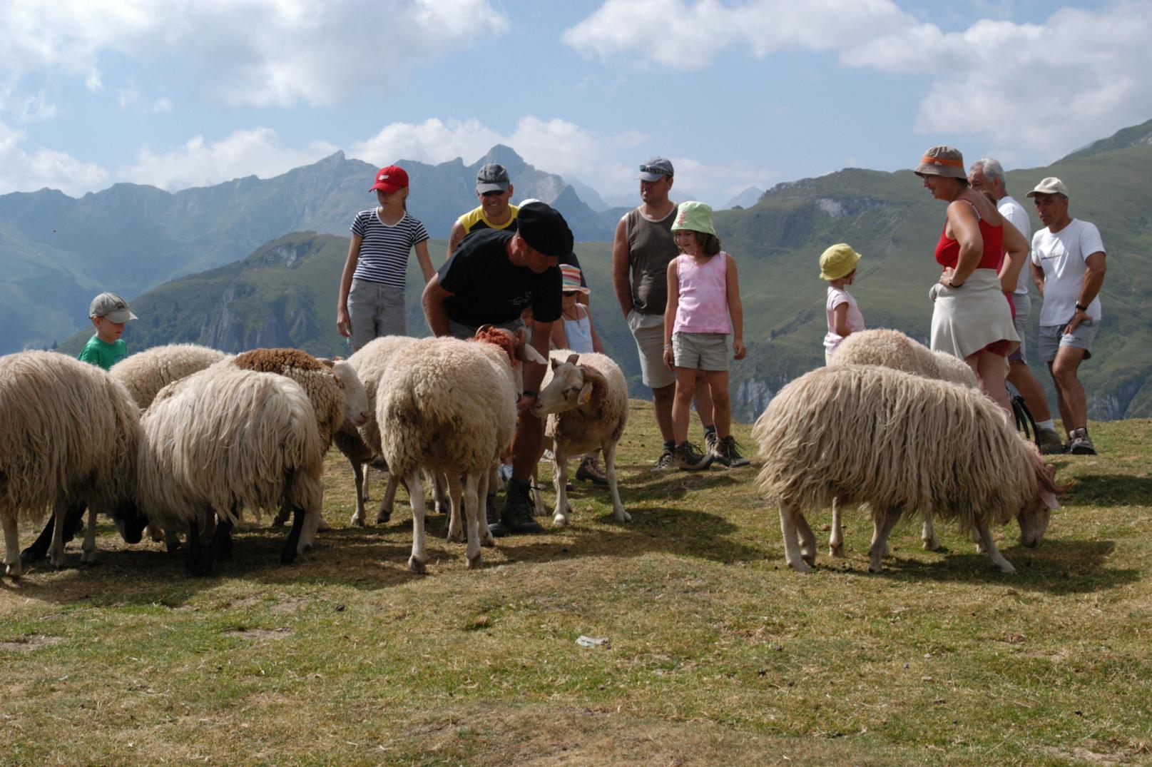 Yelloh! Village Le Lavedan