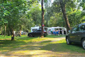 Campingplatz mit Wohnmobilen und Autos auf Stellplätzen im Grünen, zwischen hohen Bäumen und einem Kiesweg.