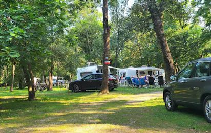 Camping Le Lion