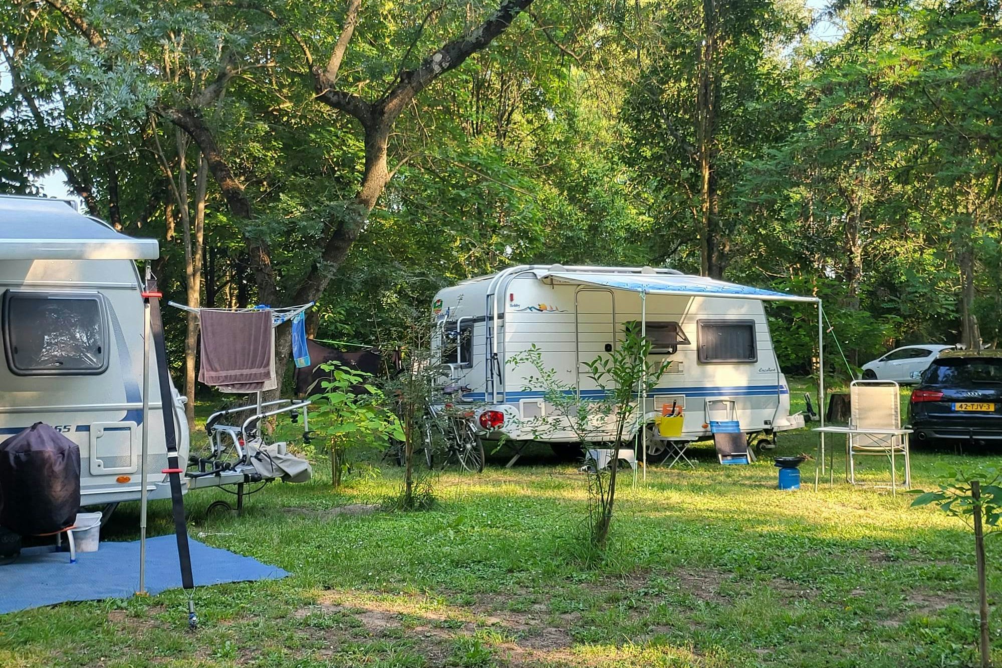 Camping Le Lion - Standplätze im Grünen auf dem Campingplatz
