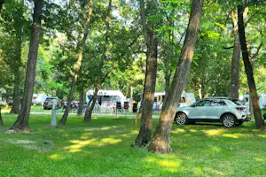 Campingplatz mit Wohnmobilen und Autos zwischen hohen Bäumen, im Hintergrund Sitzgruppe und Wohnwagen auf dem Stellplatz.