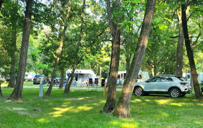 Camping Le Lion