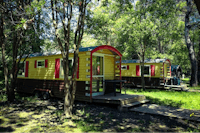 Camping Le Lion - Zirkus Mobilheime zwischen Bäumen