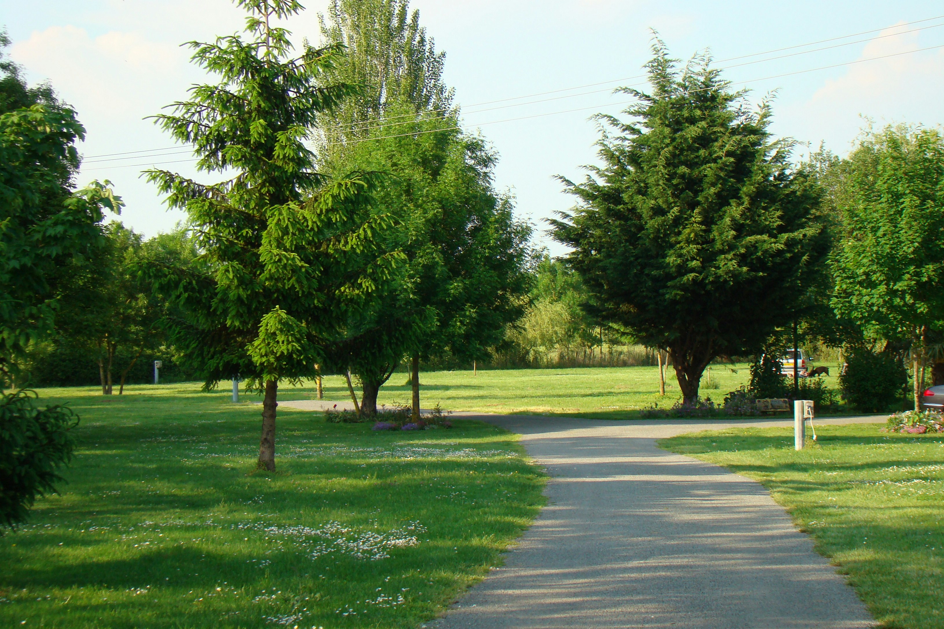 Camping Le Logis de la Lande - Blick auf die Wiesen auf dem Campingplatz