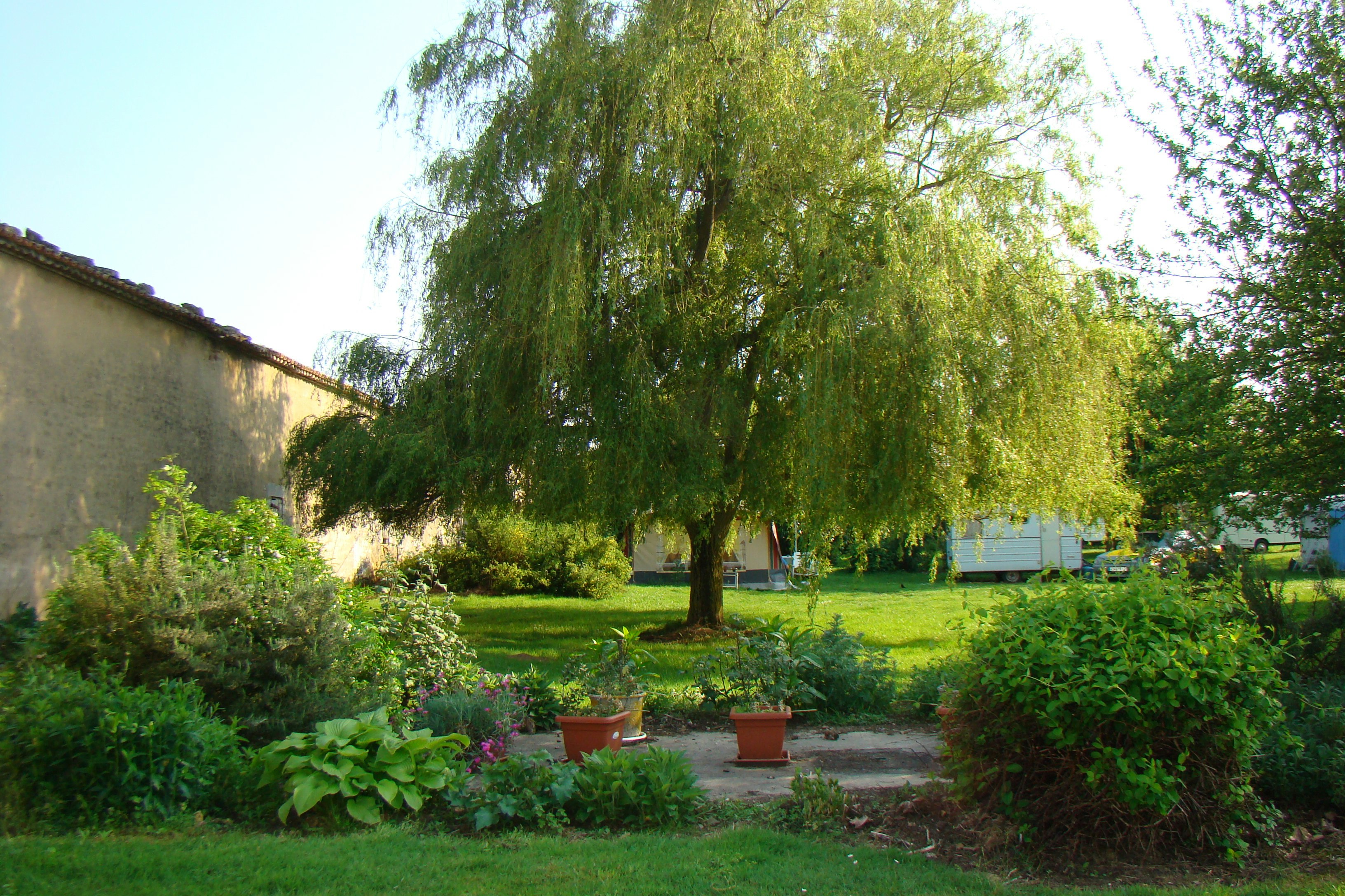 Camping Le Logis de la Lande - Stellplätze auf der Wiese des Campingplatzes