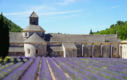 Camping Le Luberon