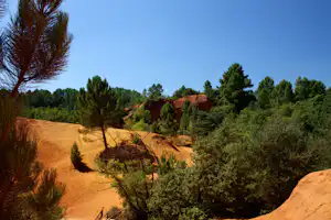 Sandige Hügel mit Kiefern und Sträuchern, Blick in die Landschaft unter klarem blauen Himmel.