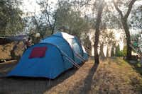 Camping le Maior -  Zeltstellplatz mit Blick auf den Gardasee auf dem Campingplatz