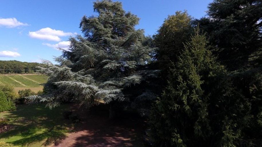 Camping Le Manoir de Bezolle - Bäume auf dem Campingplatz