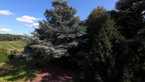 Camping Le Manoir de Bezolle - Bäume auf dem Campingplatz