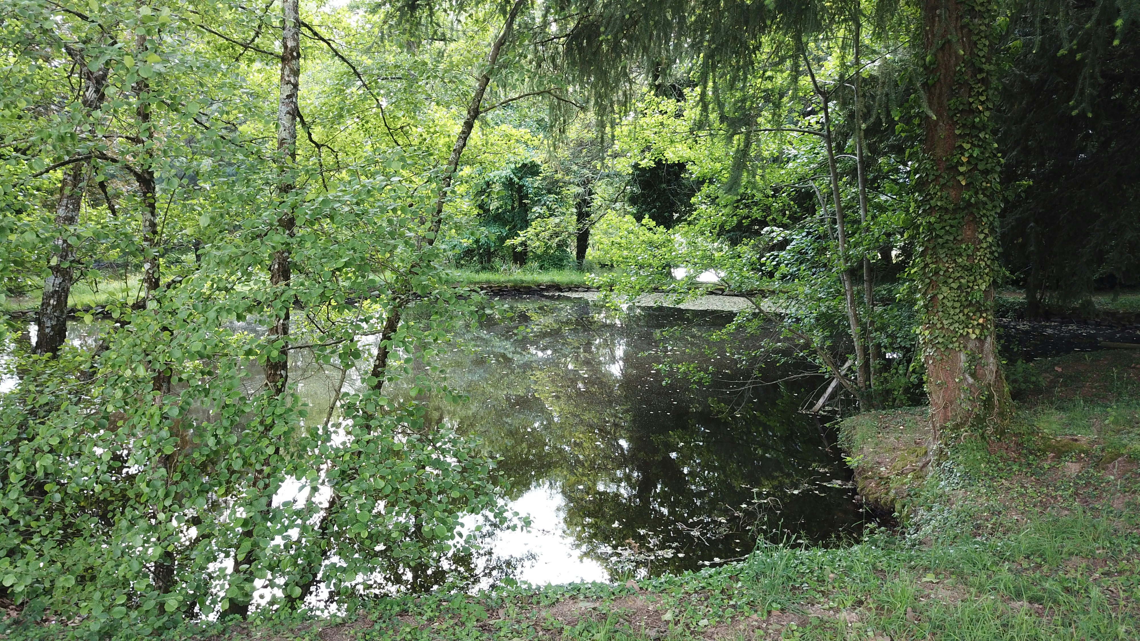 Camping Le Manoir de Bezolle - See umgeben von Bäumen auf dem Campingplatz